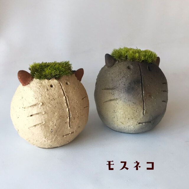 ネコ