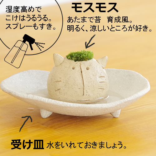 モスネコ