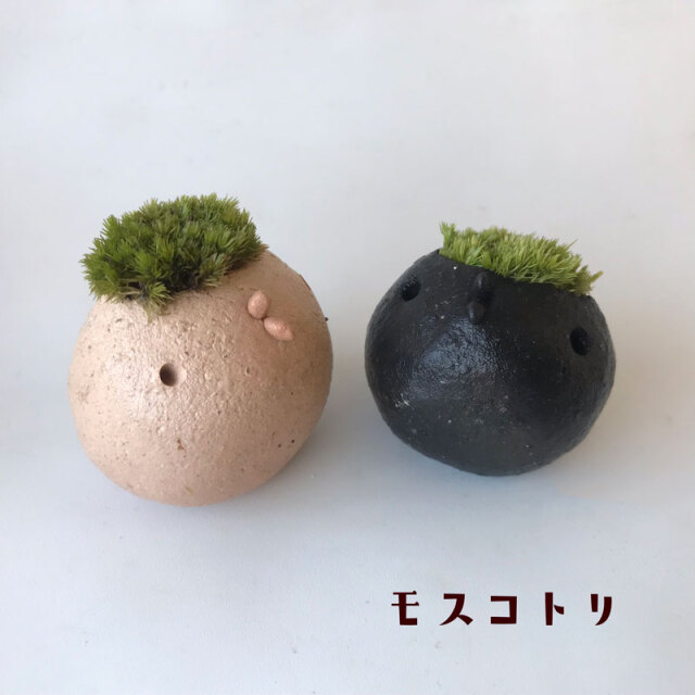 苔(コケ)がかわいい 真山茜さんのモスモス家族シリーズ トリ三代 モスドリ 2羽 コトリ2羽 チビドリ2羽 炭化焼締器セット 苔(コケ)がかわいい 真山茜さんのモスモス家族シリーズ トリ三代 モスドリ 2羽 コトリ2羽 チビドリ2羽 炭化焼締器セット