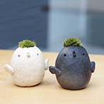 モスドリ親子黒白コトリ20130819d