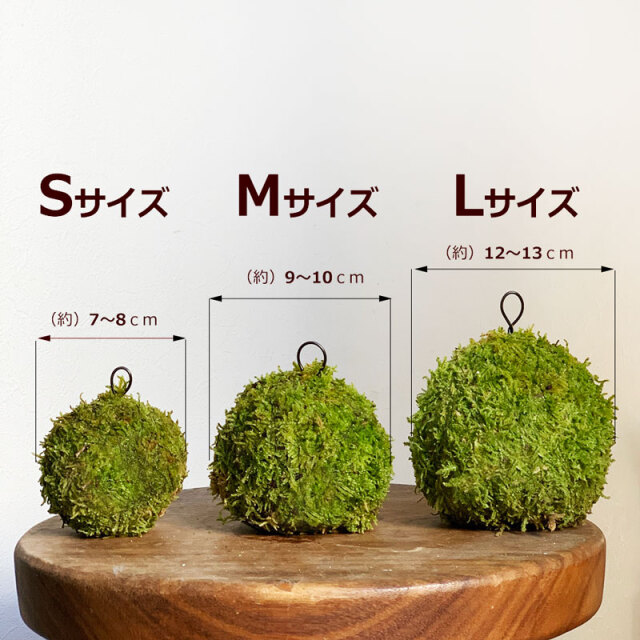 モスポール鉢5.5号3個 黒20cmモスポール水苔入り9本 半月型ポール10本 モスポール鉢5.5号3個 黒20cmモスポール水苔入り9本 半月型