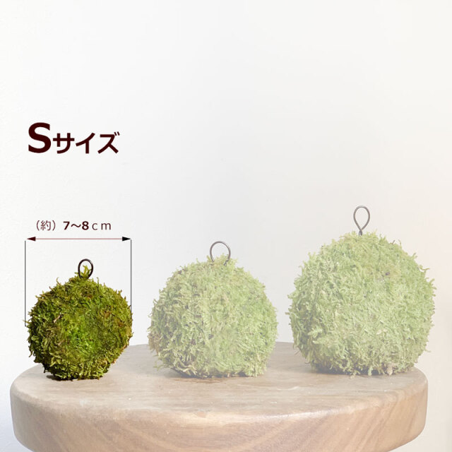 モスポール生産プロの秘訣植物用上り棒100本まとめ29cmサイズ