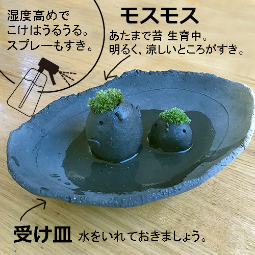 モスモス