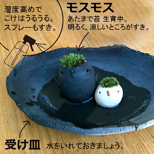 モスモス