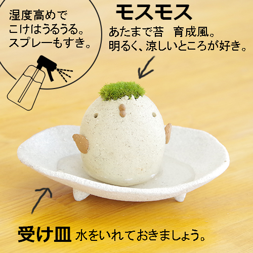 モストリ