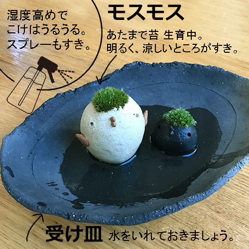 モスモス