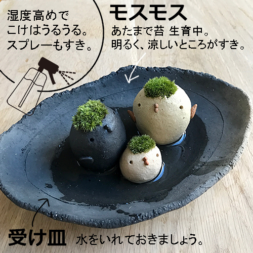 モストリ