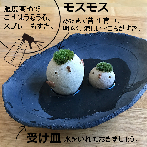 モスモス