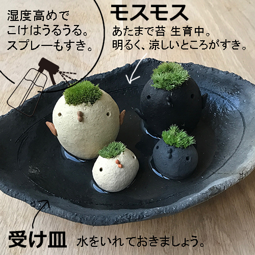 モストリ