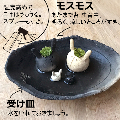 モスモス