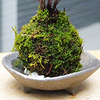 南天苔玉三つ足灰器2015d