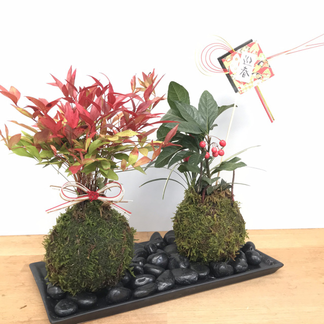 南天ヤブコウジ苔玉