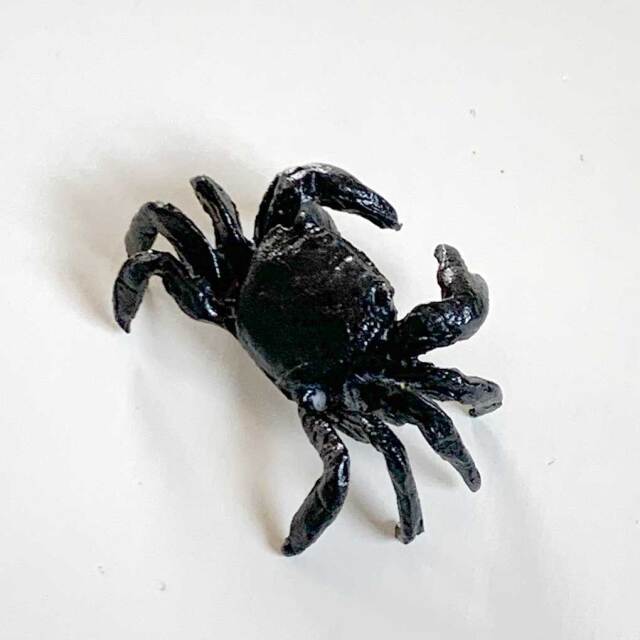 蟹