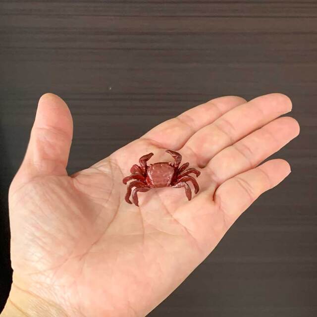 蟹