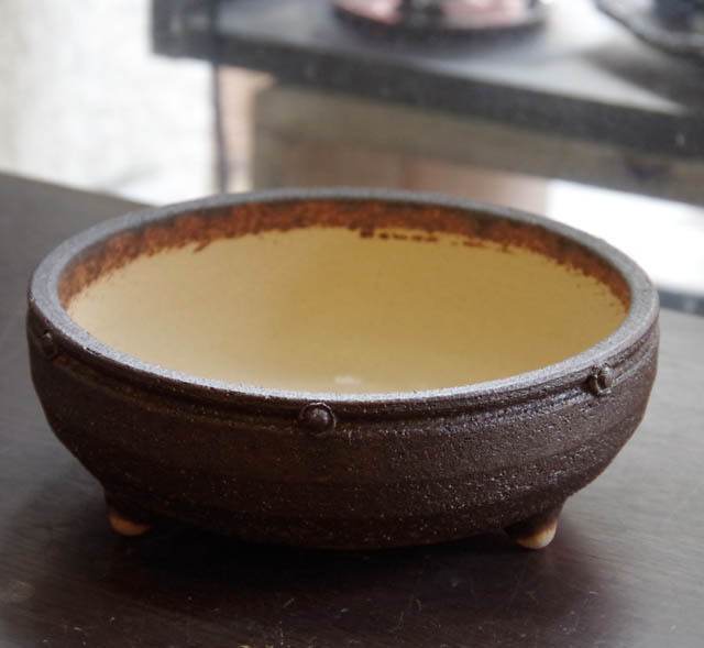 盆栽の鉢や受け皿をご紹介