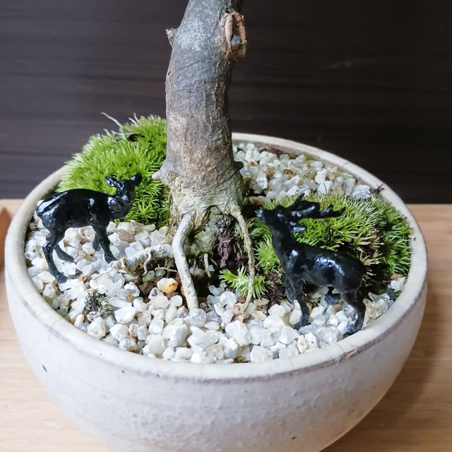 ミニチュア 添配 盆景 蝋型鋳物 鹿（シカ）対 銅製 夫婦 オス メス 