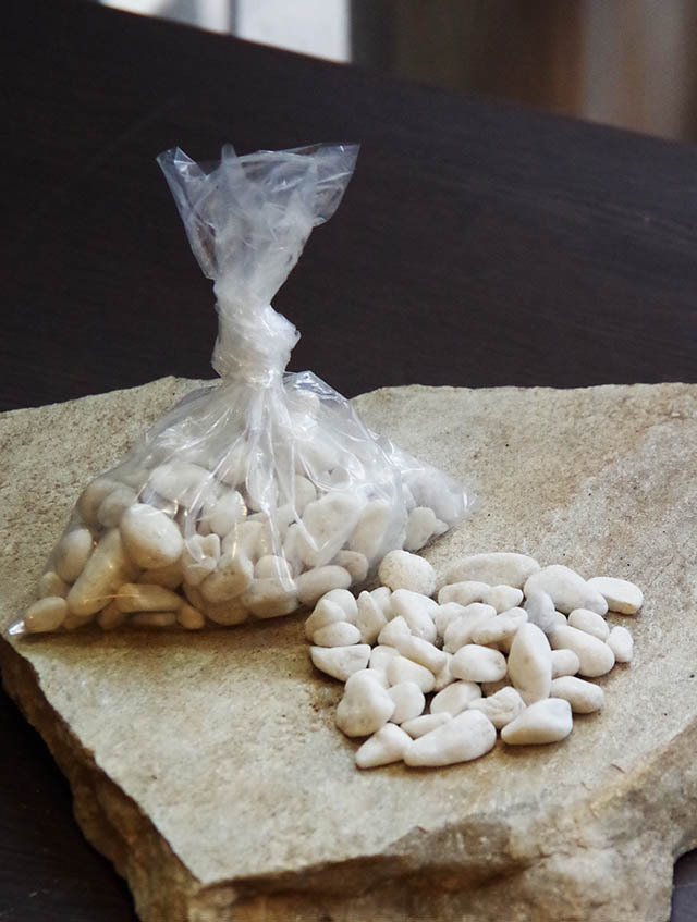 5枚に分かれた葉がスタイリッシュ【シュガーバインの苔玉・器セット】