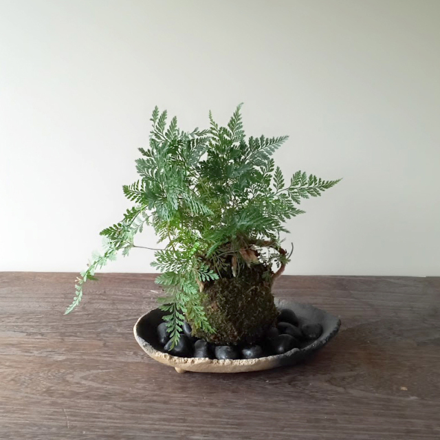 sinobutankakuro.jpg?t=