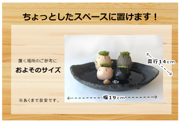 苔（コケ）がかわいい 真山茜さんのモスモス家族シリーズ トリ三代