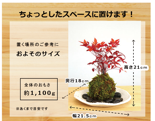 南天苔玉