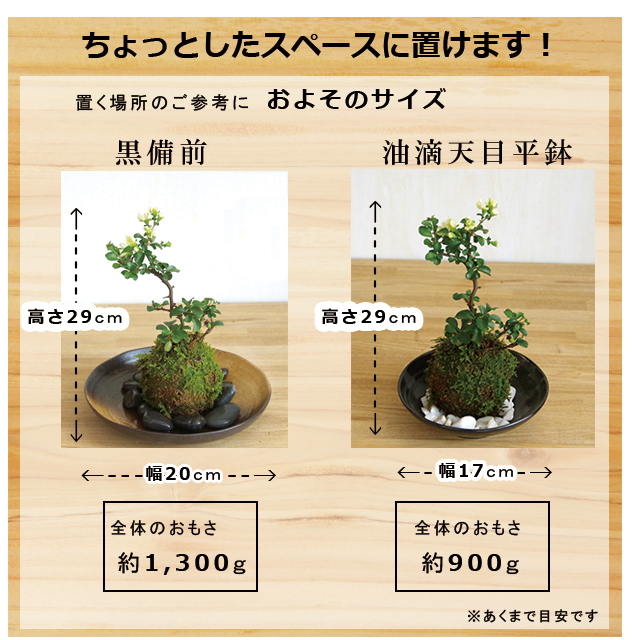 白長寿梅　黒備前　油滴天目平鉢