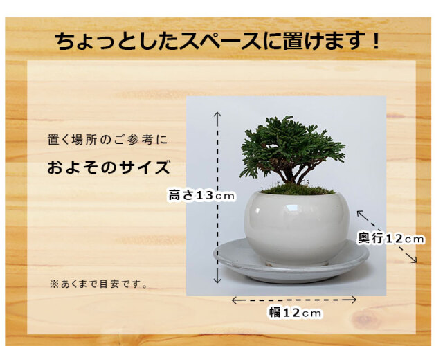 送料無料！壮大な景色をお楽しみください【連山檜（れんざんひのき）の