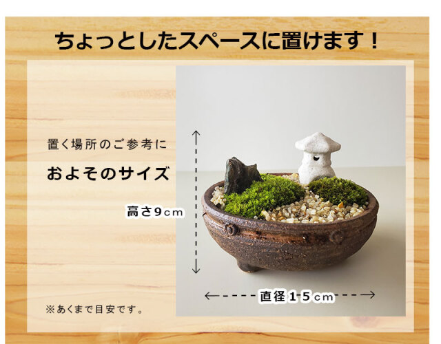 小さな世界で雄大な景色を苔盆栽【古都の趣きある神社の風景（信楽焼茶