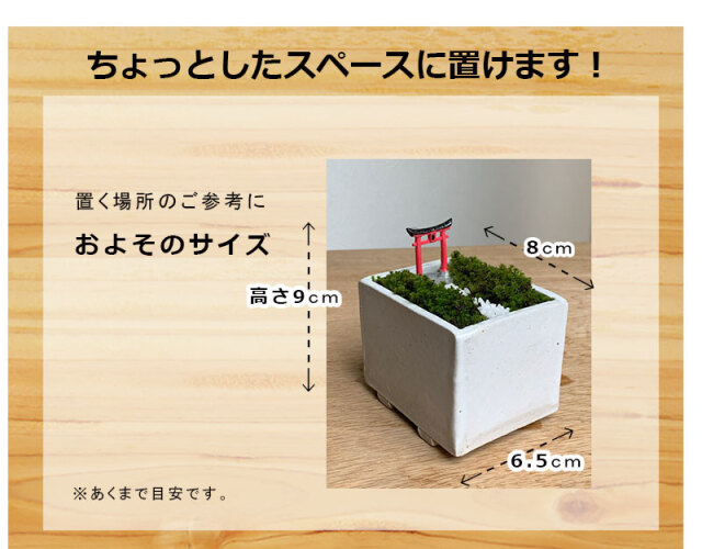苔盆栽 【神域への入り口】万古焼創作角鉢 鳥居 神社 神様 苔