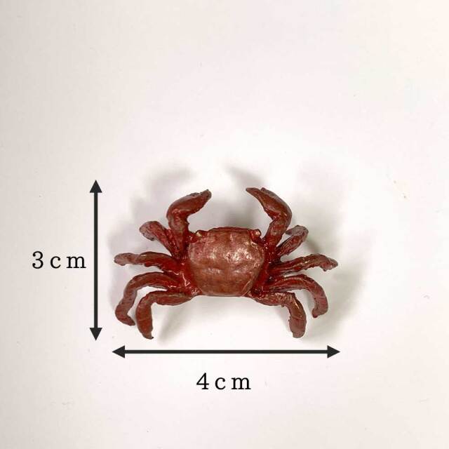 蟹