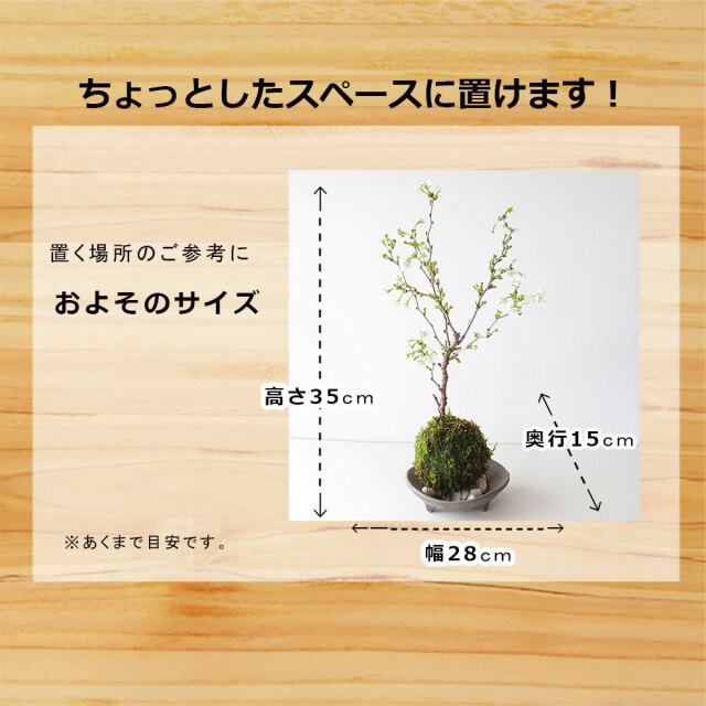 湖上の舞