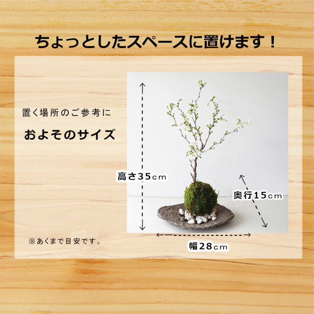 湖上の舞
