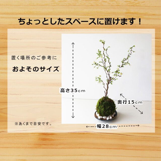 湖上の舞