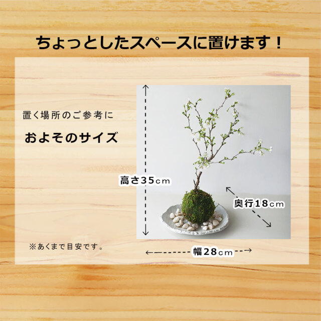 湖上の舞