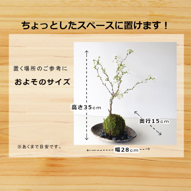 湖上の舞