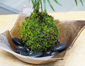 テーブルヤシ苔玉焼締茶器2016i
