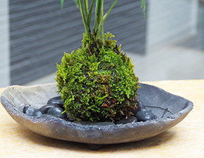 テーブルヤシ苔玉炭化焼締器2016i