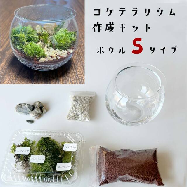 コケテラリウムキットボウルSサイズ