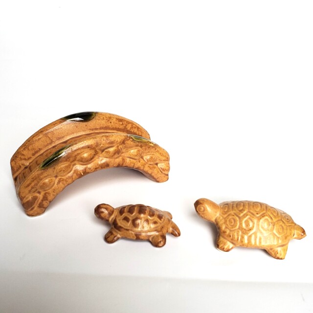 とある神社にある池の風景