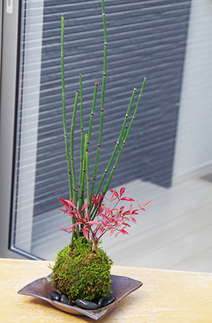 トクサ南天苔玉焼締茶器2015c