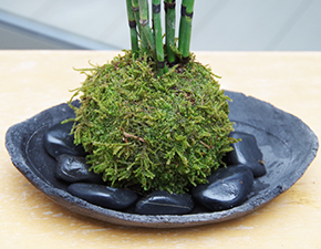 トクサ苔玉炭化焼締鉢2014i