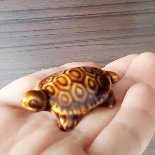 あなただけの世界をどうぞ【ミニチュア 茶亀（ちゃがめ） 幅4．5cm】