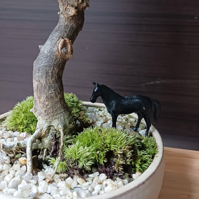 蝋型　馬