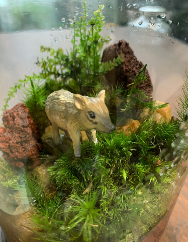 ミニチュア フィギュア【ウリ坊（うりぼう）】盆景 添配 オブジェ 苔