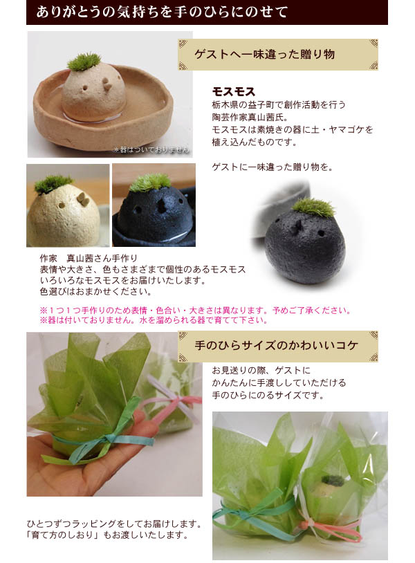 モスモス　サンクスギフト