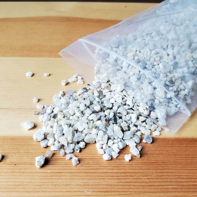 販売再開★完全品/ハイ苔5年物5個セット/庭や苔玉/厚約2cm/長47幅32 楽天市場】苔玉作成キット 植物苗がついている 苔玉キット 苗付