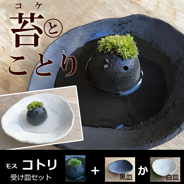 モスモスシリーズ 作家 真山茜 モスコトリ ( 黒 グレー系 ) 受け皿セット モスモス 苔 小鳥 ことり