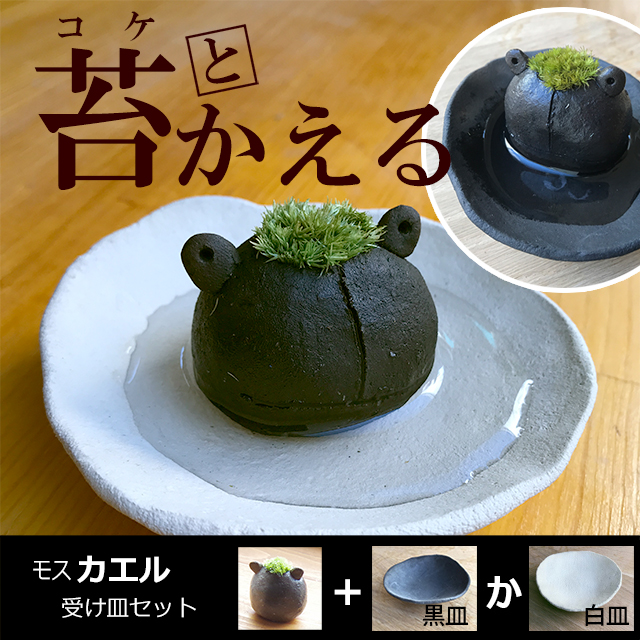 モスモスシリーズ 作家 真山茜 モスカエル ( 黒 グレー系 ) 受け皿セット モスモス 苔 蛙 かえる