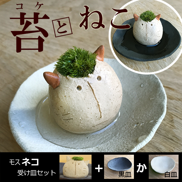 モスモスシリーズ 作家 真山茜 モスネコ ( 白 ベージュ系 ) 受け皿セット モスモス 苔 猫 ねこ