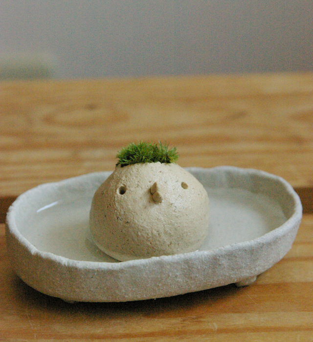 サンクスギフトに！苔のむすまで―モスモスシリーズ【モスコトリ