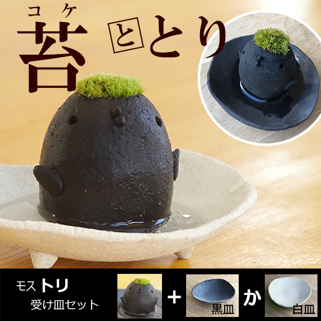 モスモスシリーズ 作家 真山茜 モスドリ ( 黒 グレー系 ) 受け皿セット モスモス 苔 鳥 トリ